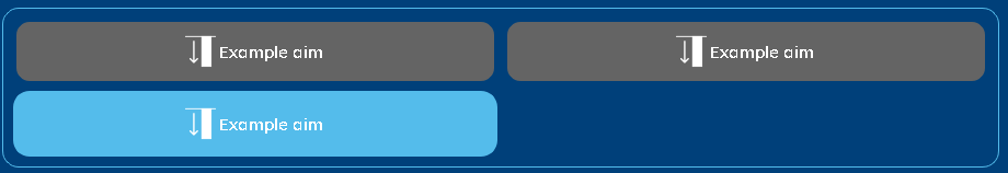../../../_images/Example_Aim.PNG